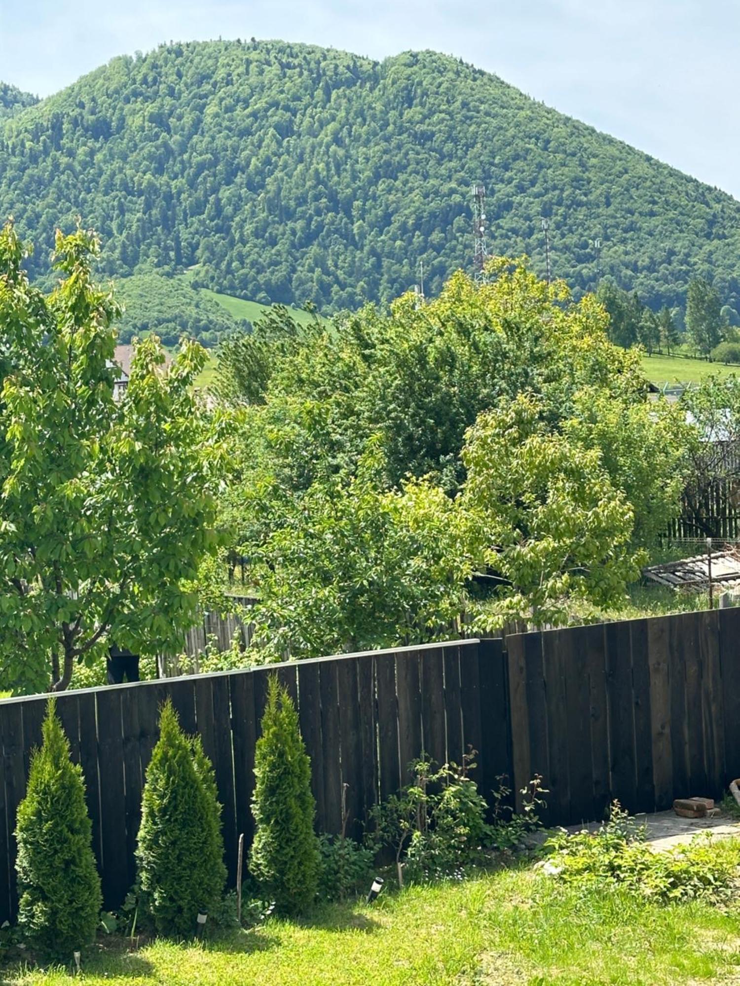 Cazare Zorilor Zărneşti Стая снимка